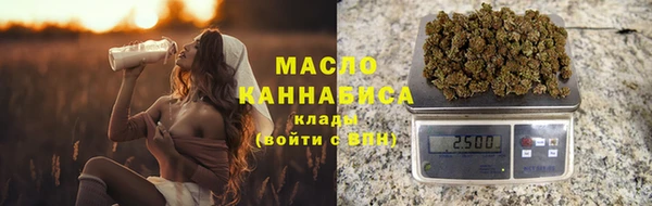 гидра Гусиноозёрск