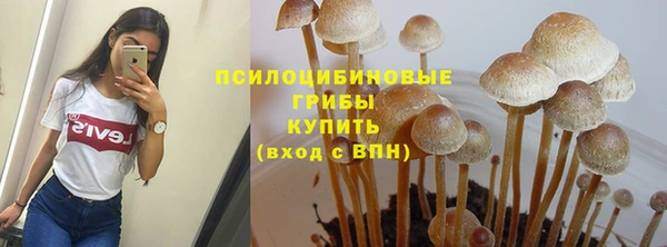 прущие крисы Гусь-Хрустальный