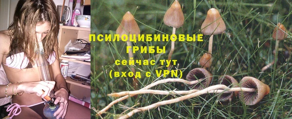соль ск Переславль-Залесский