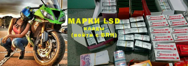 гидра Гусиноозёрск