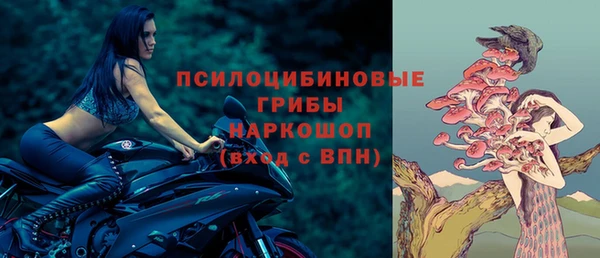 соль ск Переславль-Залесский
