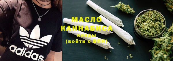 apvp Гусев